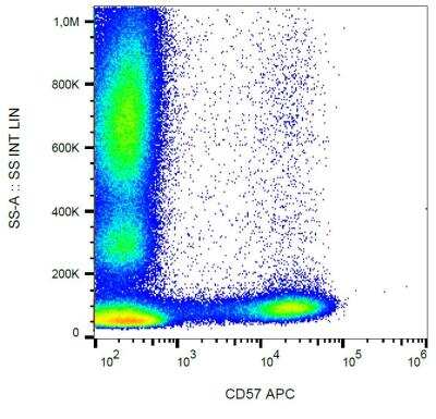 Flow Cytometry: CD57 Antibody (TB01) [NBP2-62203]