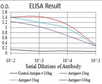 ELISA: beta-2 Adrenergic R/ADRB2 Antibody (4A6C9) - BSA Free [NBP2-61711]