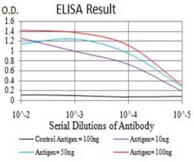 ELISA: beta-2 Adrenergic R/ADRB2 Antibody (5G3B5) - BSA Free [NBP2-61710]