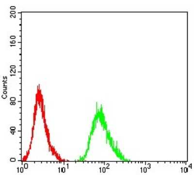 Flow Cytometry: beta-2 Adrenergic R/ADRB2 Antibody (5G3B5) - BSA Free [NBP2-61710]