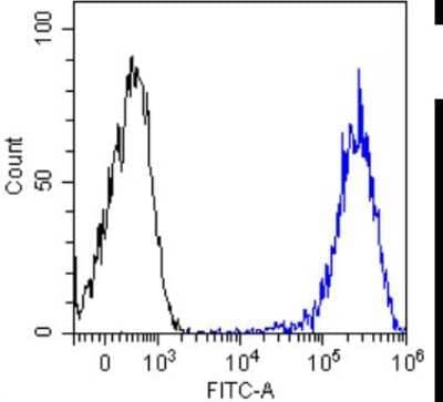 Flow Cytometry: beta 2-Microglobulin Antibody (BBM.1) - Chimeric - Azide and BSA Free [NBP2-81045]