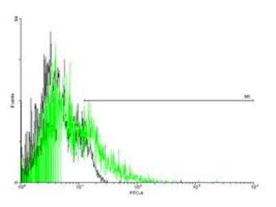 Flow Cytometry: beta-3 Adrenergic R/ADRB3 Antibody [H00000155-B01P]