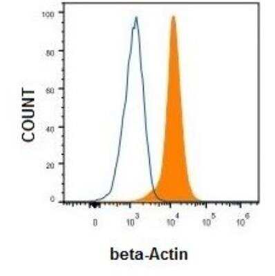 Flow Cytometry: beta-Actin Antibody [NB600-503]
