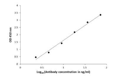 ELISA: beta-Alanine Antibody [NBP3-13408]