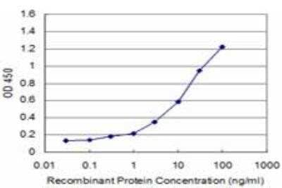 ELISA: beta-Arrestin 2 Antibody (4D2) [H00000409-M06]