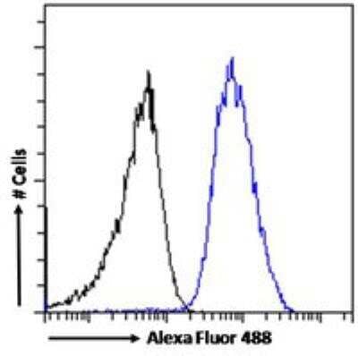 Flow Cytometry: beta-Arrestin 2 Antibody [NB100-1515]