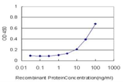 ELISA: beta B1 Crystallin Antibody (3D9) [H00001414-M03]