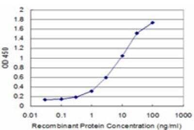 ELISA: beta COP Antibody (3E10) [H00001315-M08]