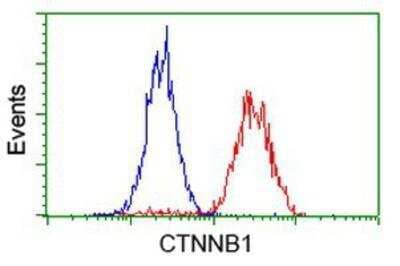 Flow Cytometry: beta-Catenin Antibody (OTI12H7) [NBP2-03615]