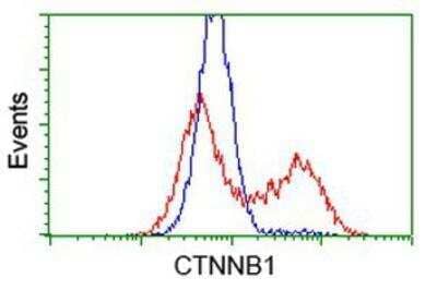 Flow Cytometry: beta-Catenin Antibody (OTI12H7) [NBP2-03615]