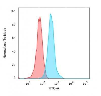 Flow Cytometry: beta-Catenin Antibody (CTNNB1/2030R) - Azide and BSA Free [NBP2-79888]