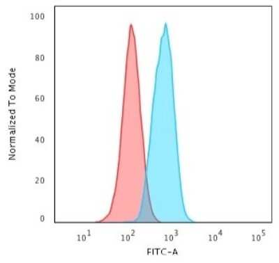 Flow Cytometry: beta-Catenin Antibody (CTNNB1/2030R) [NBP2-79753]