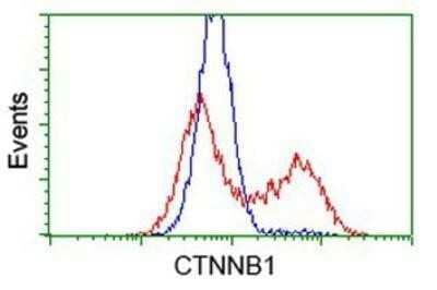 Flow Cytometry: beta-Catenin Antibody (OTI12H7) - Azide and BSA Free [NBP2-70509]