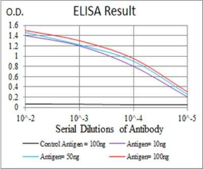 ELISA: beta I Tubulin Antibody (2A1A9) - BSA Free [NBP2-52577]