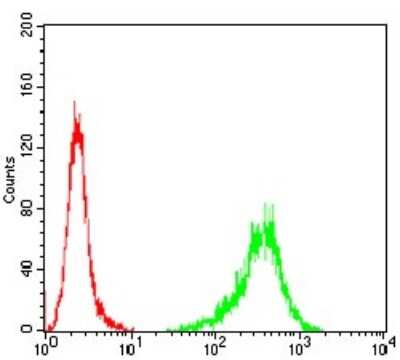 Flow Cytometry: beta I Tubulin Antibody (2A1A9) - BSA Free [NBP2-52577]