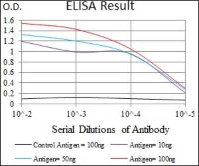 ELISA: beta II Tubulin A Antibody (6A10B2) - BSA Free [NBP2-37376]
