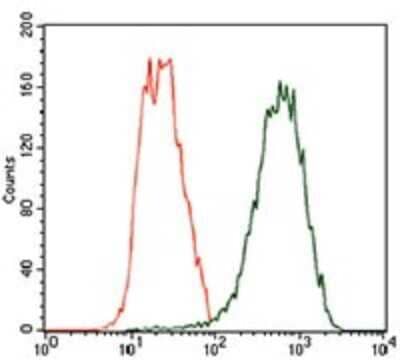 Flow Cytometry: beta II Tubulin A Antibody (6A10B2) - BSA Free [NBP2-37376]