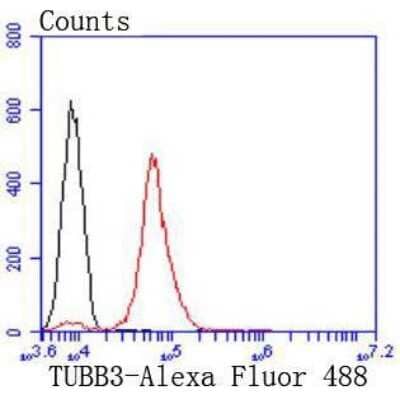 Flow Cytometry: beta-III Tubulin Antibody (SP06-00) [NBP2-67374]