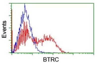 Flow Cytometry: beta-TrCP1/BTRC Antibody (OTI2H2) [NBP2-46588]