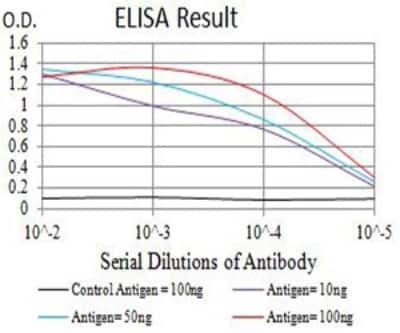 ELISA: beta-TrCP1/BTRC Antibody (4C5D8) - BSA Free [NBP2-61712]