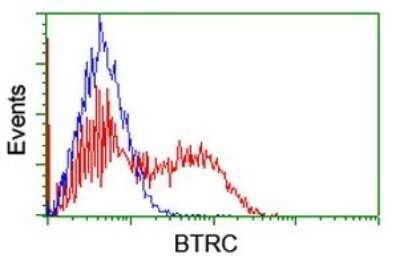 Flow Cytometry: beta-TrCP1/BTRC Antibody (OTI2H2) - Azide and BSA Free [NBP2-71402]