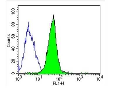 Flow Cytometry: beta Tubulin Antibody (BT7R) - Azide and BSA Free [NBP2-37830]