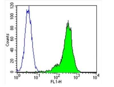 Flow Cytometry: beta Tubulin Antibody (BT7R) - Azide and BSA Free [NBP2-37830]