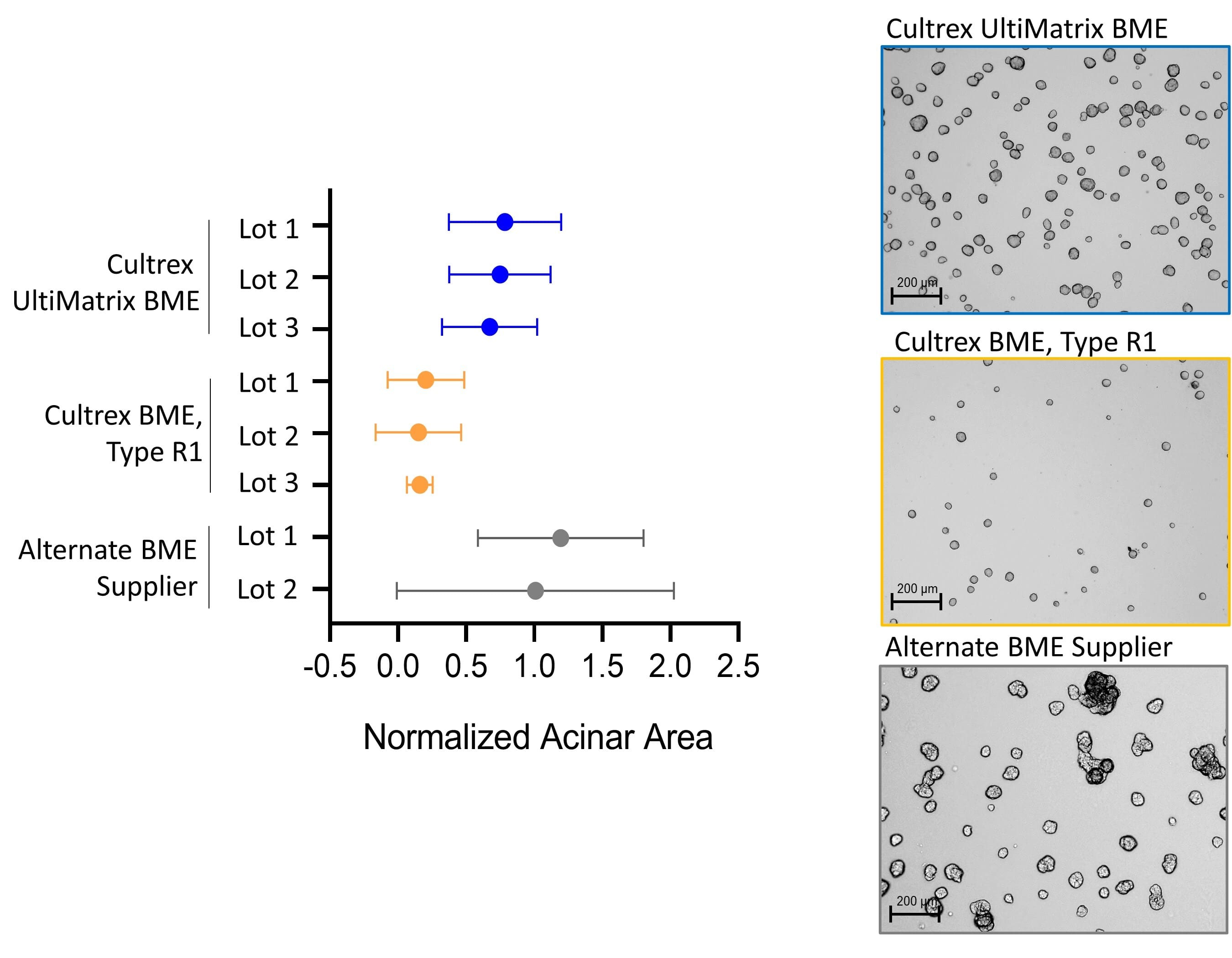 Improved Spheroid (Acinar) Maturation and Consistency Compared to Other Commercial Matrices