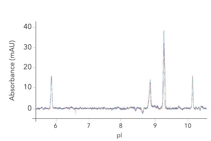 Charge consistency of GMP Human Betacellulin Protein