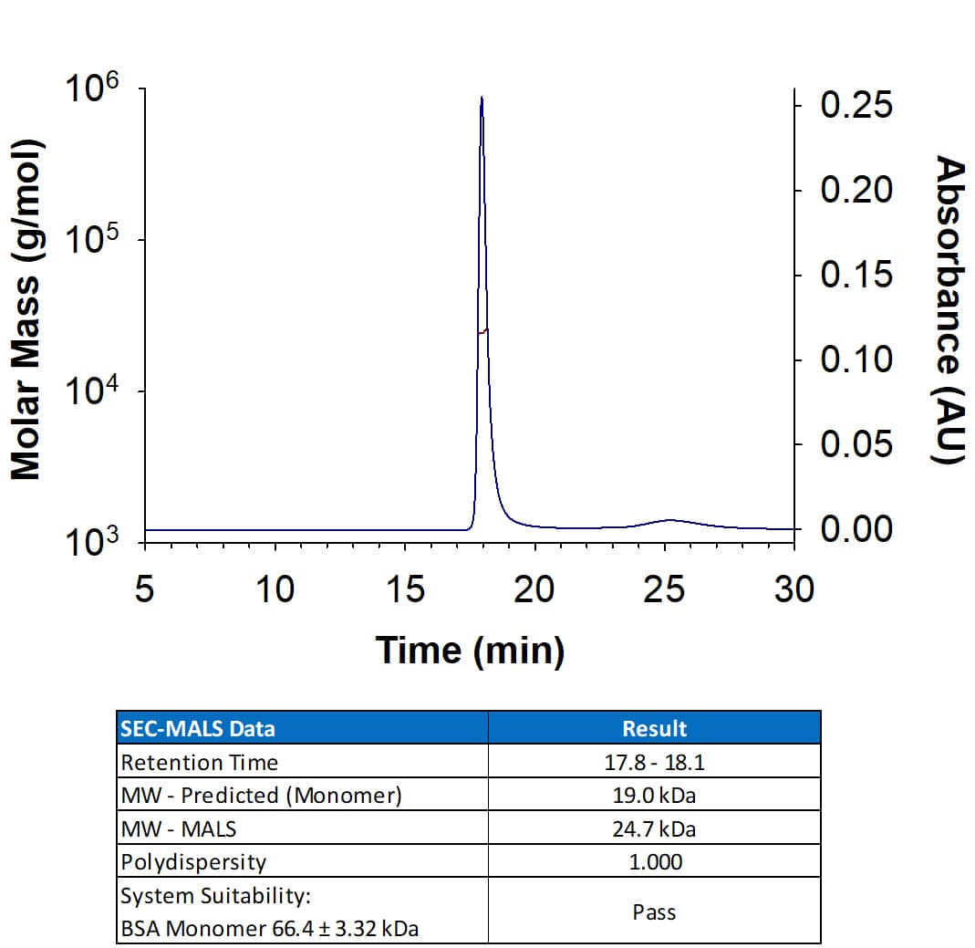 Recombinant Human KGF/FGF‑7 Protein SEC-MALS.