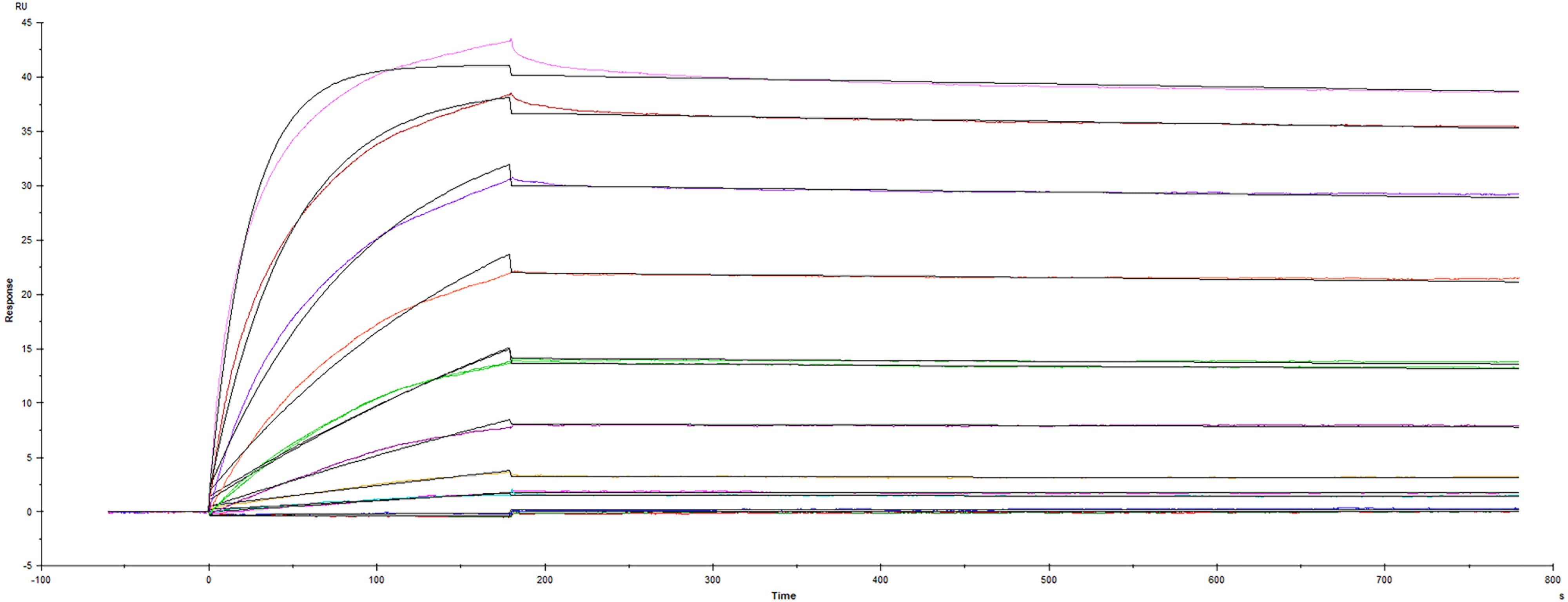 Animal-Free<sup>TM</sup> Human VEGF 165 Surface Plasmon Resonance