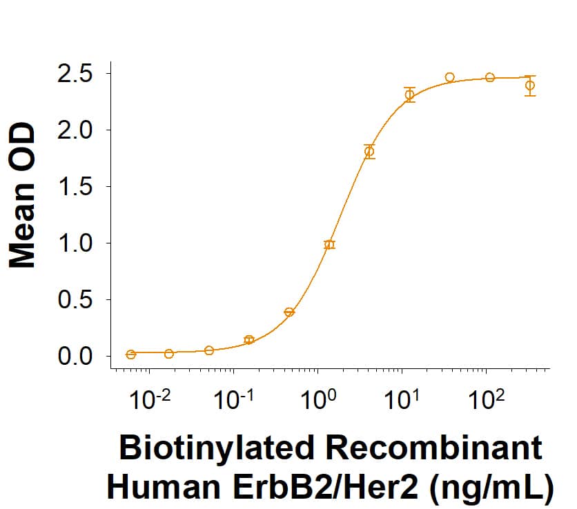 Biotinylated Recombinant Human ErbB2/Her2 Fc Chimera Protein Binding Activity.
