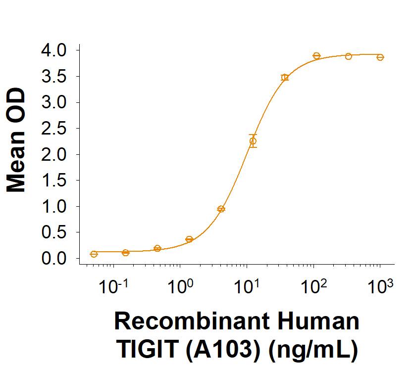 Biotinylated Recombinant Human CD155/PVR His-tag Protein Binding Activity.
