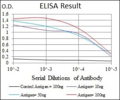 ELISA: c-Fos Antibody (2G2) - BSA Free [NBP2-37492]