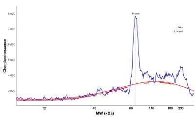 Simple Western: c-Myc Antibody (9E10.3)Azide and BSA Free [NBP2-47738]