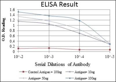 ELISA: c-Rel Antibody (1E7) - BSA Free [NBP2-37593]