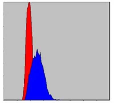 Flow Cytometry: c-jun Antibody (5B1) - BSA Free [NBP2-37576]