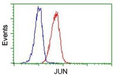 Flow Cytometry: c-jun Antibody (OTI3G2) - Azide and BSA Free [NBP2-71059]