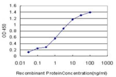 ELISA: cGK1/PRKG1 Antibody (2B3) [H00005592-M03]