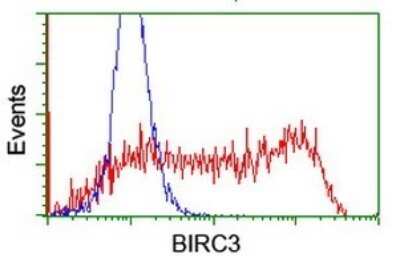 Flow Cytometry: cIAP-2/HIAP-1 Antibody (OTI1A9) [NBP2-46576]