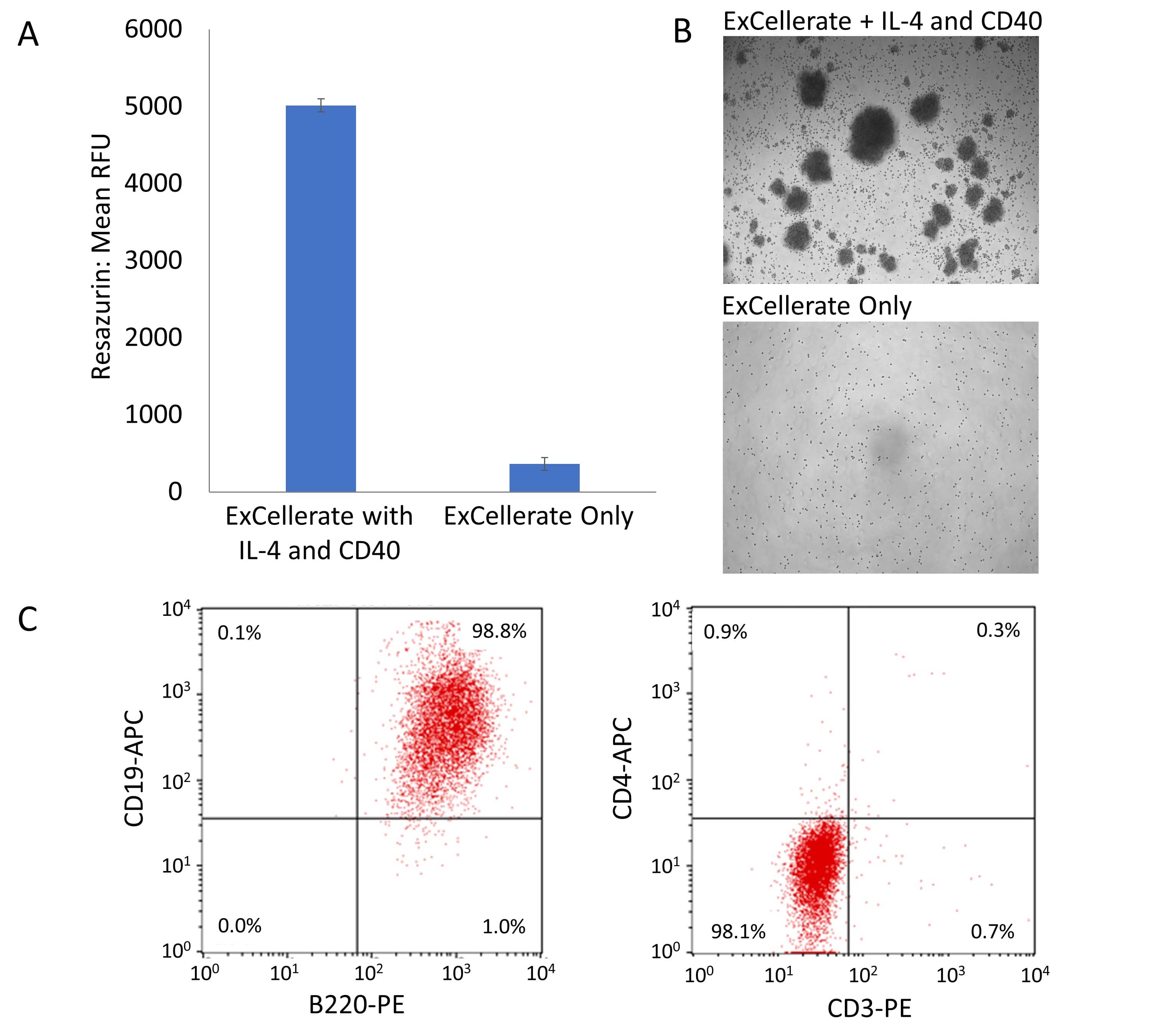 Mouse B Cell_ExCellerate B Cell Media_CCM031