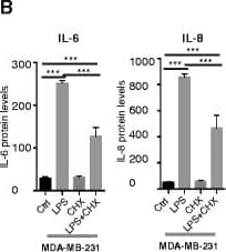 Detection of Human Human IL-6 Quantikine ELISA Kit by ELISA