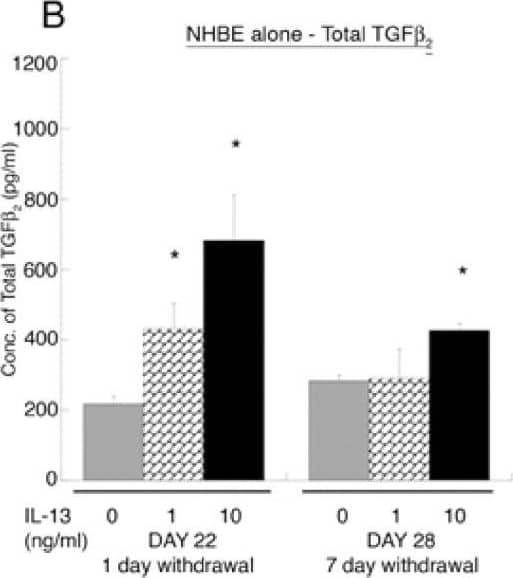 Detection of Human TGF-beta 2 by ELISA
