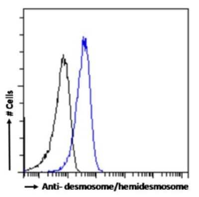 Flow Cytometry: desmosome/hemidesmosome Antibody (F12) - Chimeric - Azide and BSA Free [NBP3-09014]