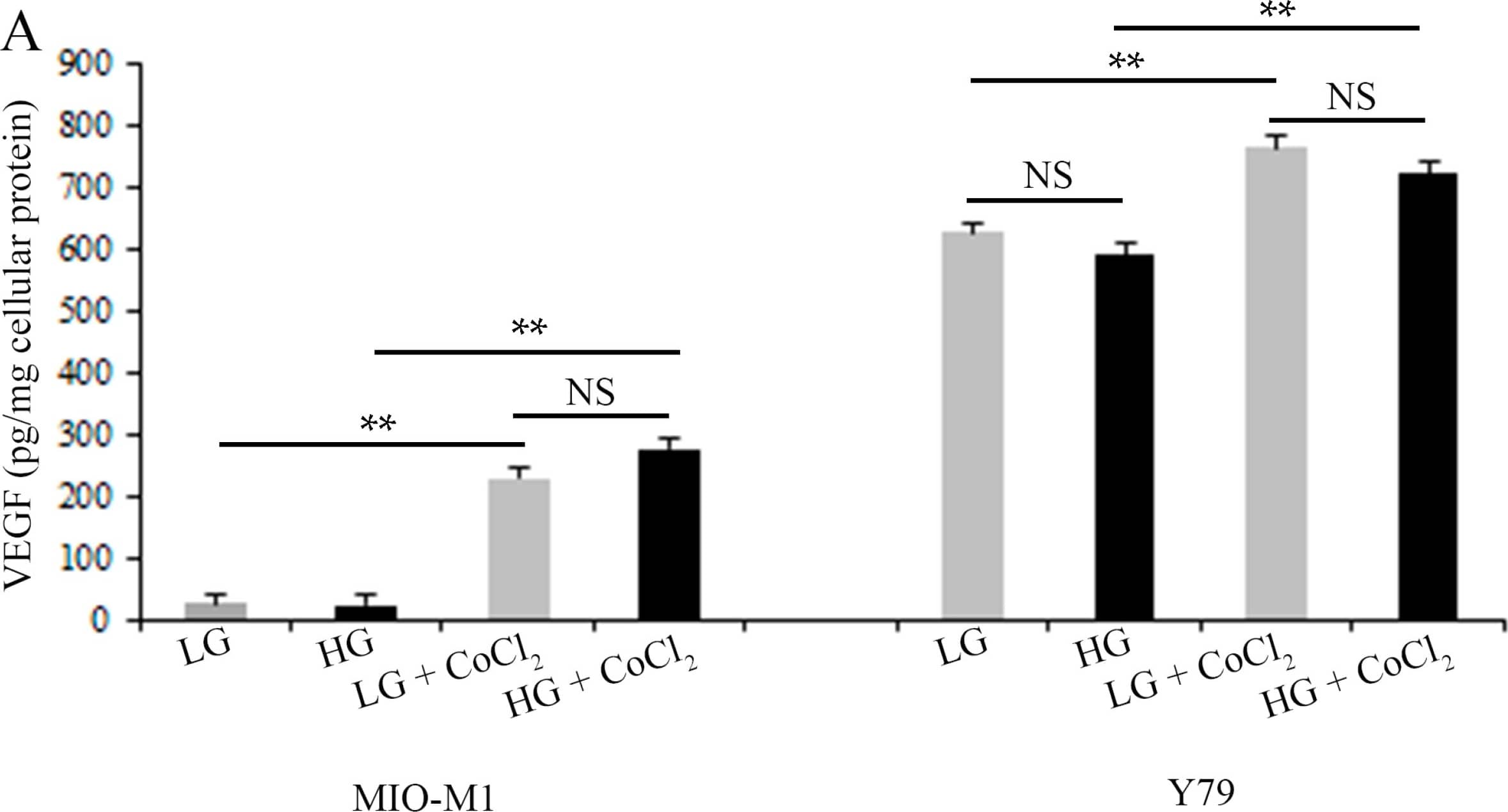 Human VEGF DuoSet ELISA