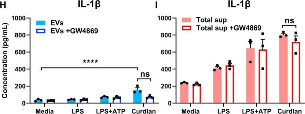 Detection of Mouse IL-1 beta/IL-1F2 by ELISA