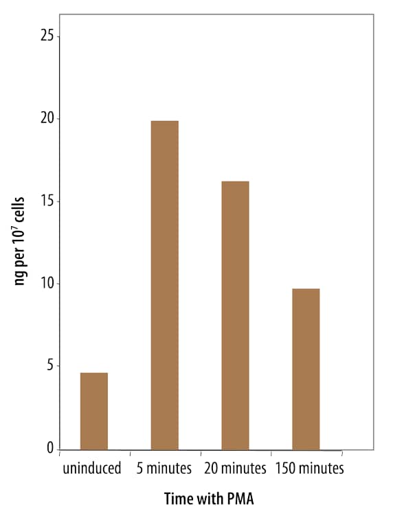 Quantification of Phosphorylated ERK1 in PMA-treated Human HeLa Cells.
