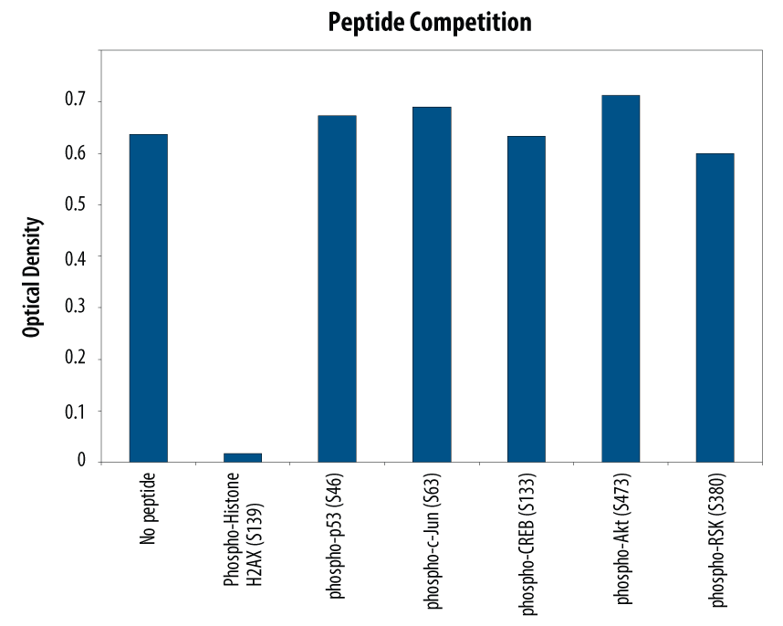 The Human Phospho-Axl DuoSet IC ELISA is more sensitive than immunoprecipitation (IP)-Western blot analysis.