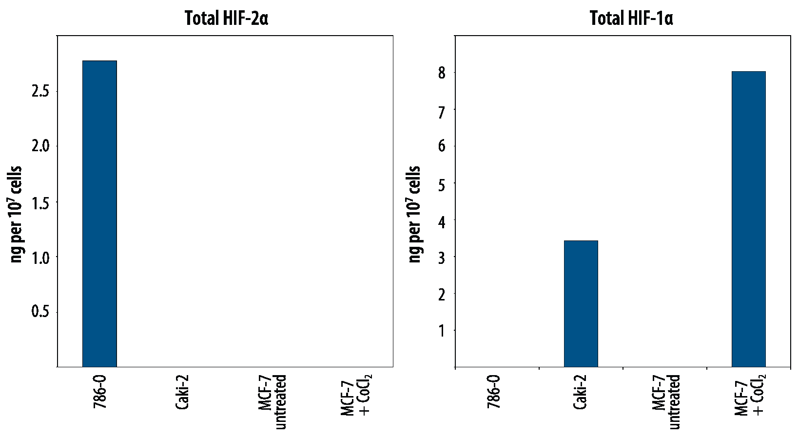 Total HIF-1 alpha Detection in 786-O, Caki-2, and MCF-7 Cell Lysate.
