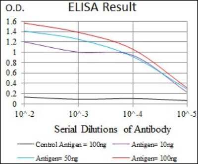 ELISA: dynactin 4 Antibody (3G9D7) - BSA Free [NBP2-37399]